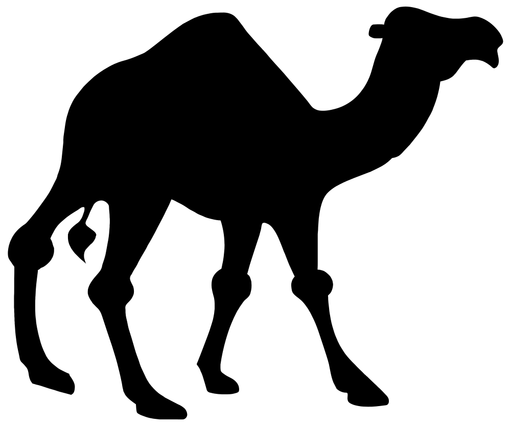 A blank black image with no visible content or detail.
