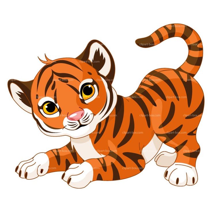 Cute Baby Tiger Cartoon Royalty Free Svg Cliparts Vectors And Clip