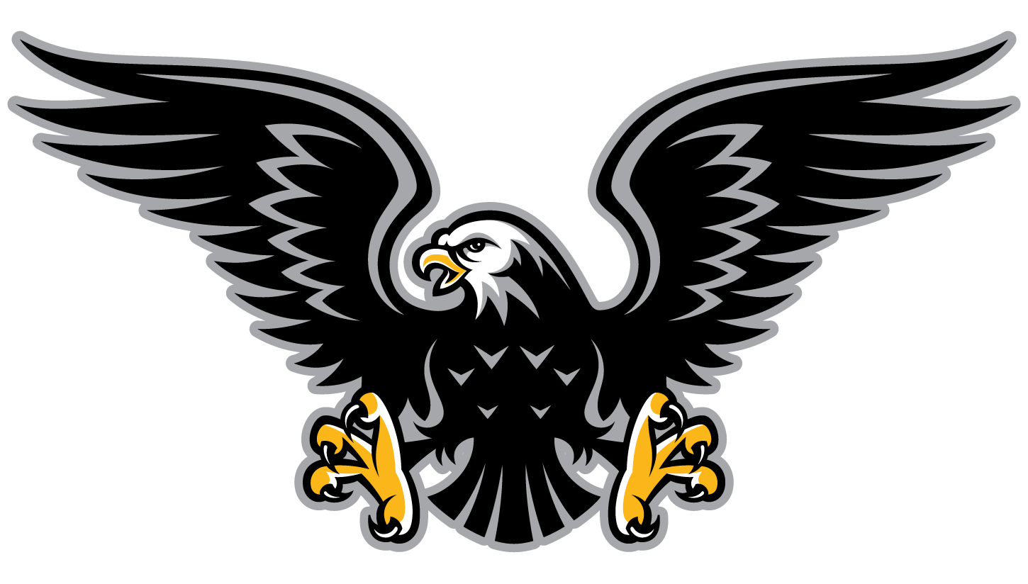 Stylized black eagle with outstretched wings, white head, yellow beak and talons, bold graphic logo design.