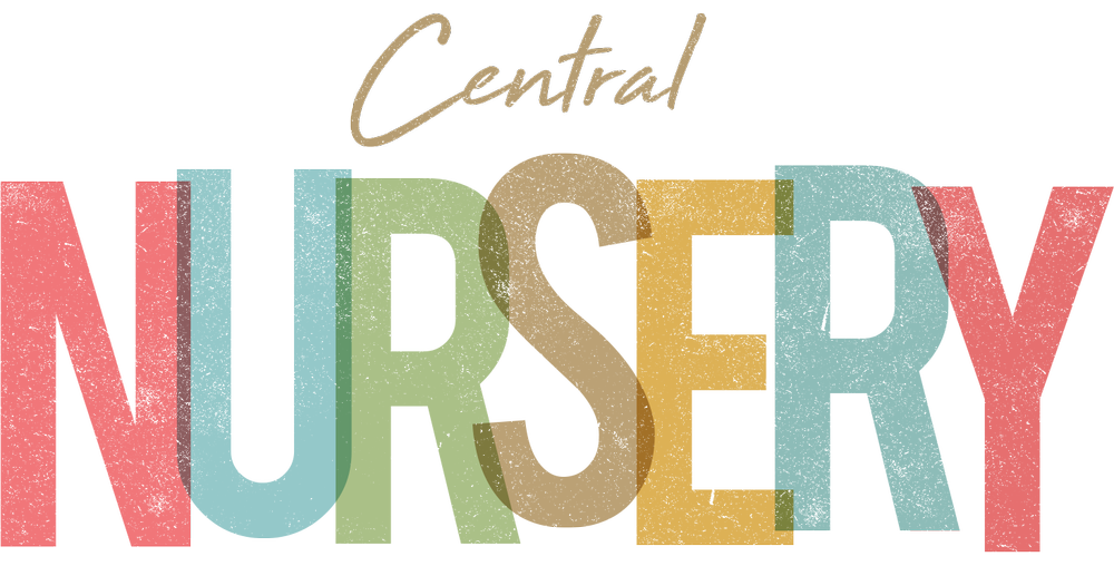 Central Nursery - Modern, Colorful Brand Identity for Early Childhood Education