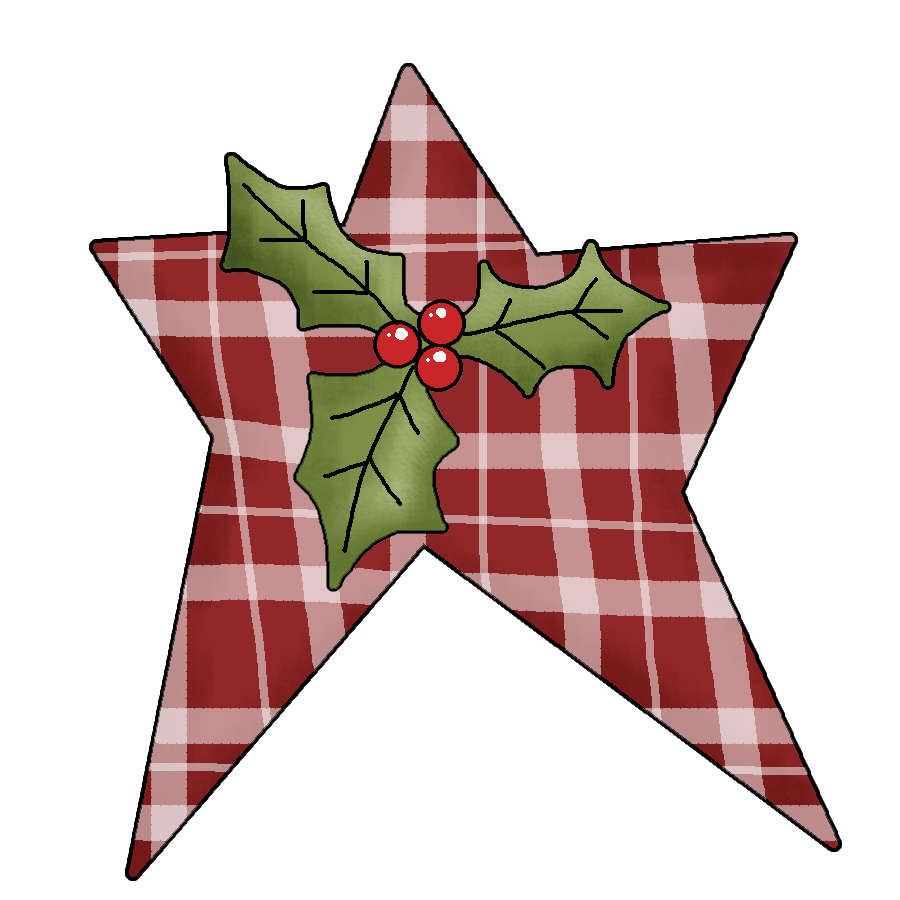 Red plaid star ornament with green holly and red berries, festive holiday decoration.