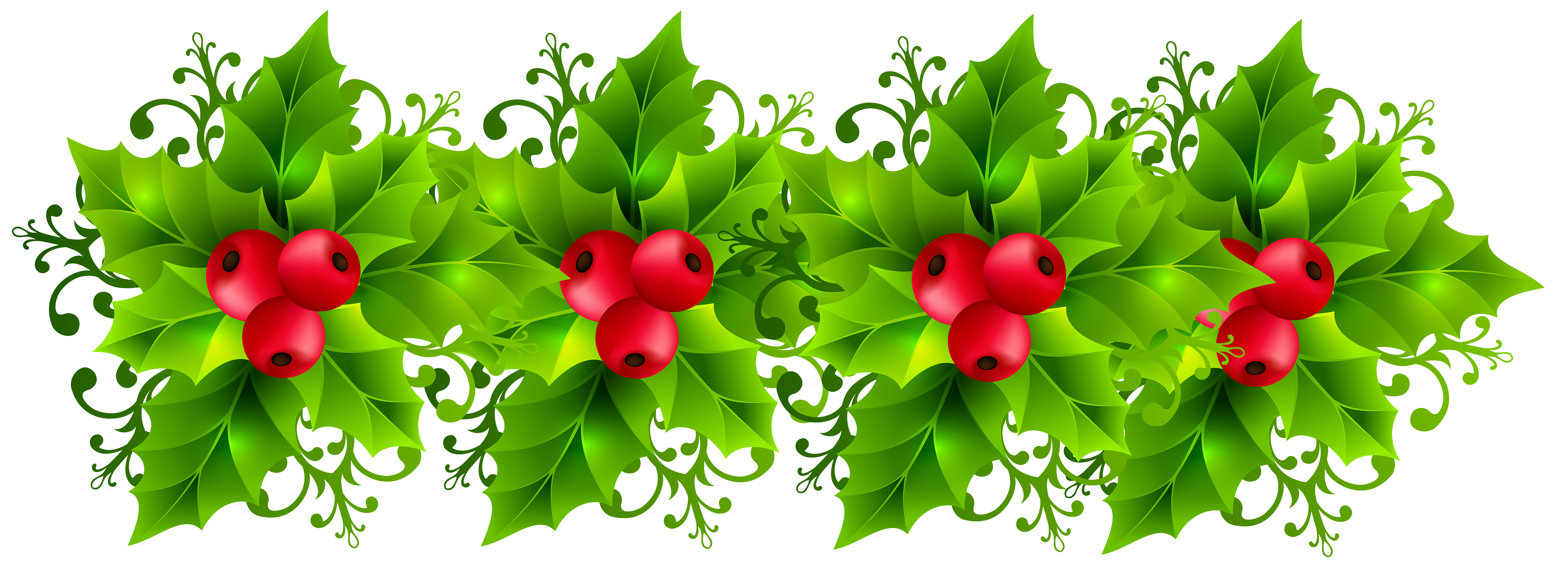 Vibrant red holly berries nestled among glossy green spiky leaves in a festive botanical illustration.