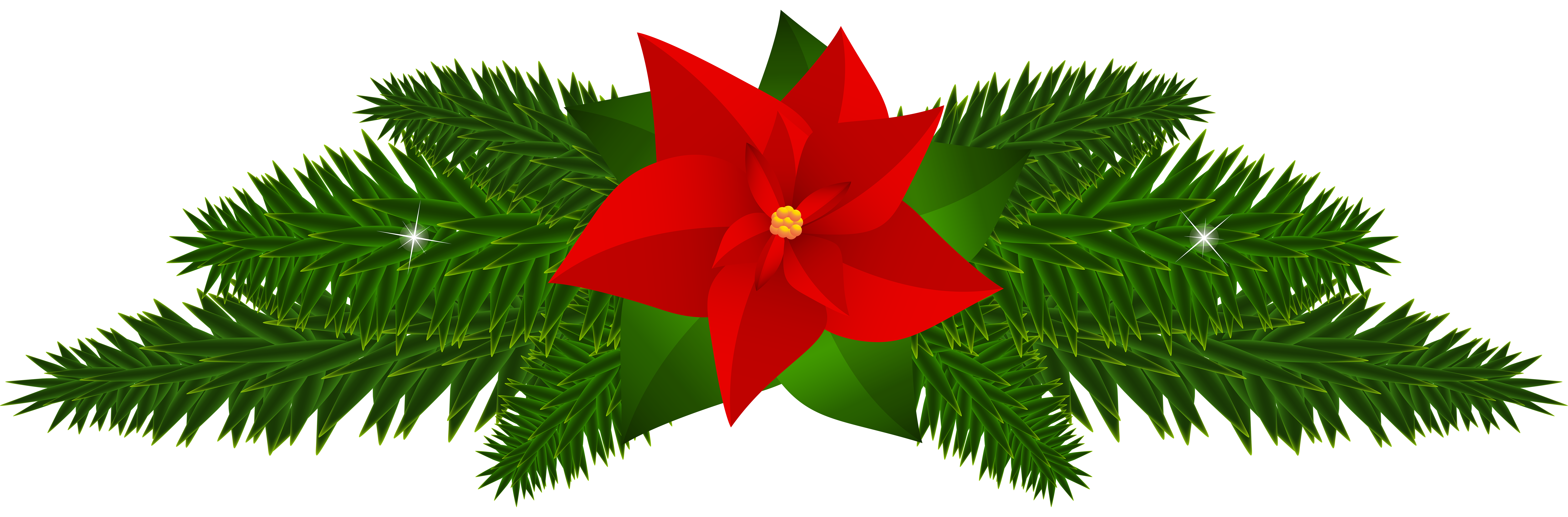 Festive Poinsettia & Pine Holiday Graphic | Christmas Decor Illustration