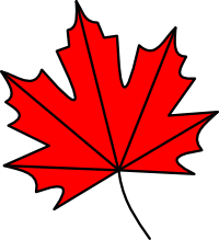 Vibrant red maple leaf with five pointed lobes and black veins, stylized against a black background.