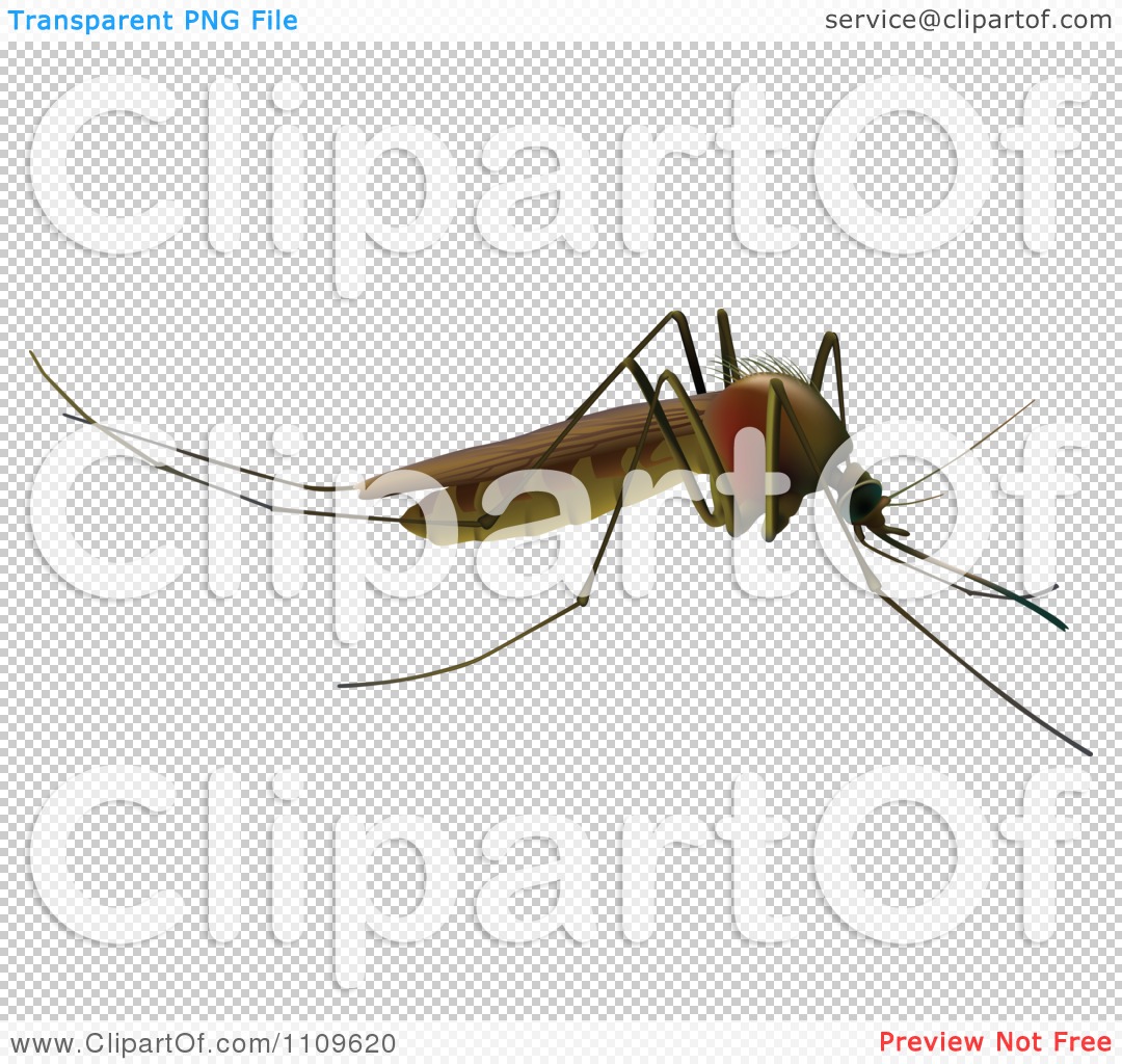 Realistic 3D illustration of a mosquito with detailed wings, legs, and proboscis on transparent background.