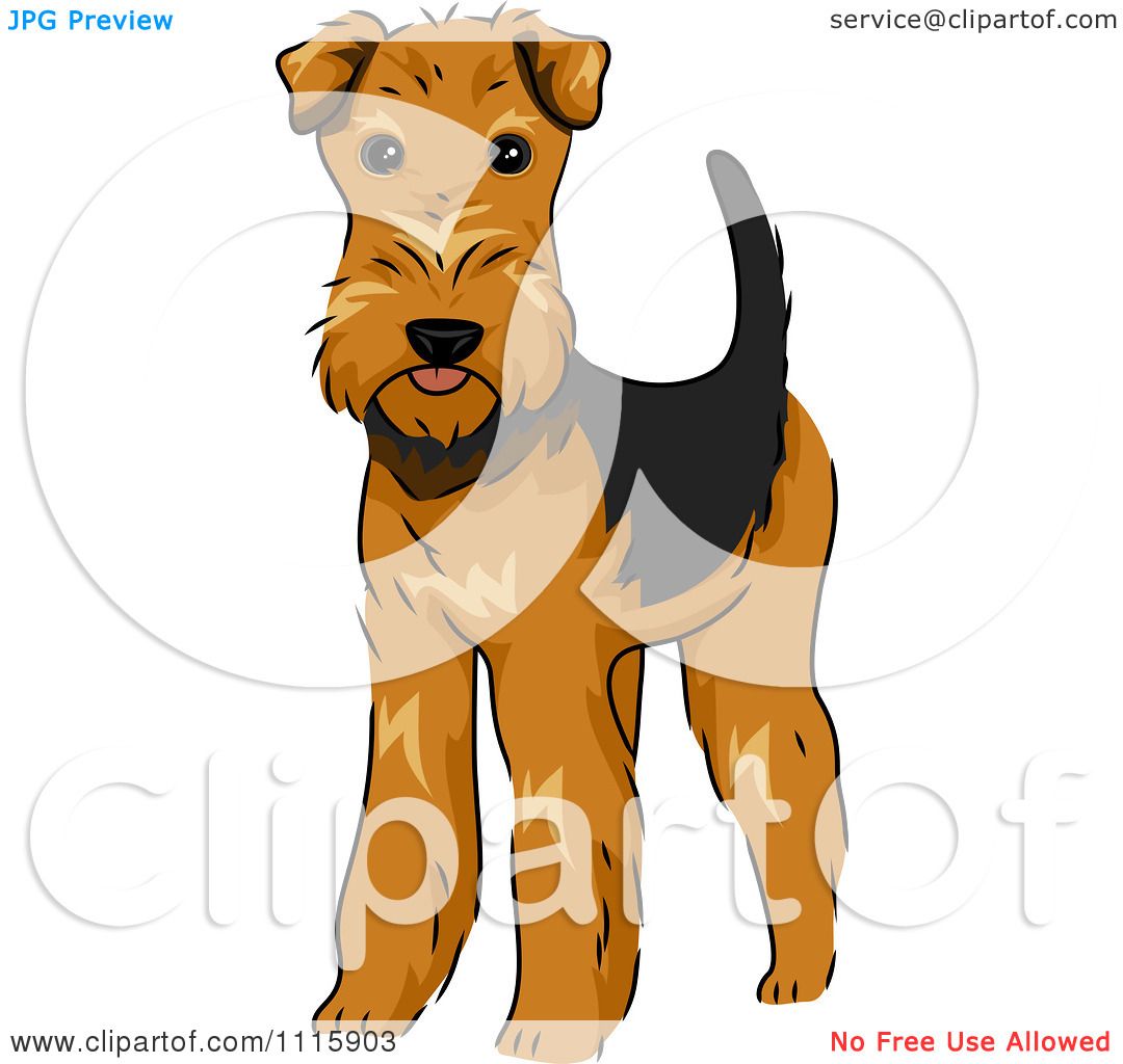Cartoon illustration of a smiling wire-haired fox terrier with tan, black, and white fur, standing alert against a white background.