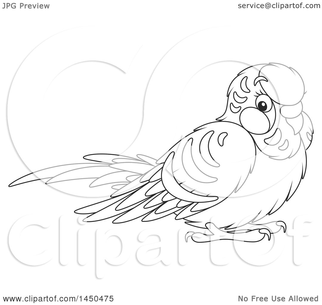 Printable Parakeet Coloring Page for Kids - Free Clipart