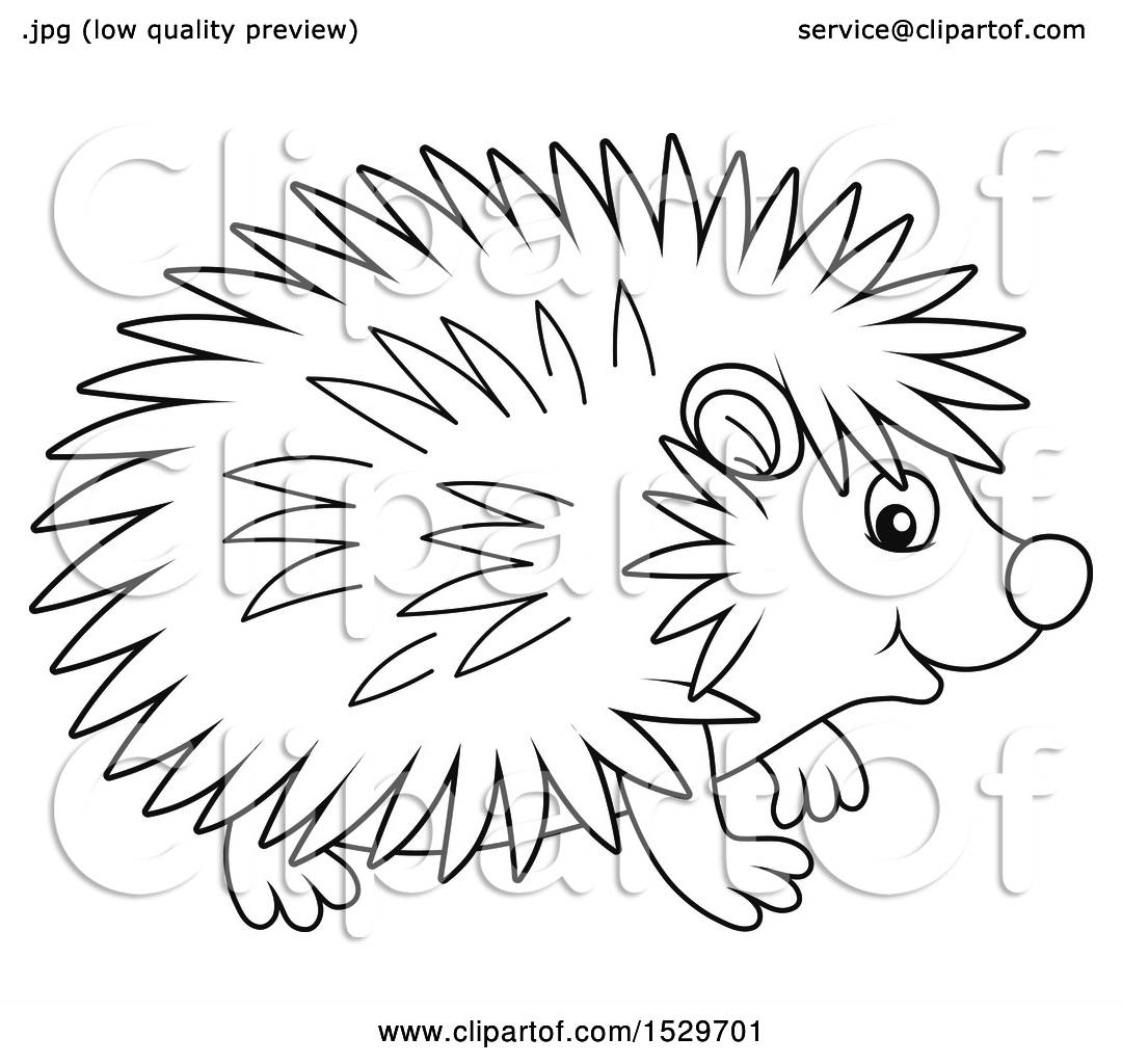outline-hedgehog-clipart-clip-art-library-clip-art-library