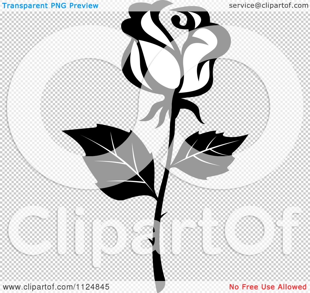 black and white rose - Clip Art Library