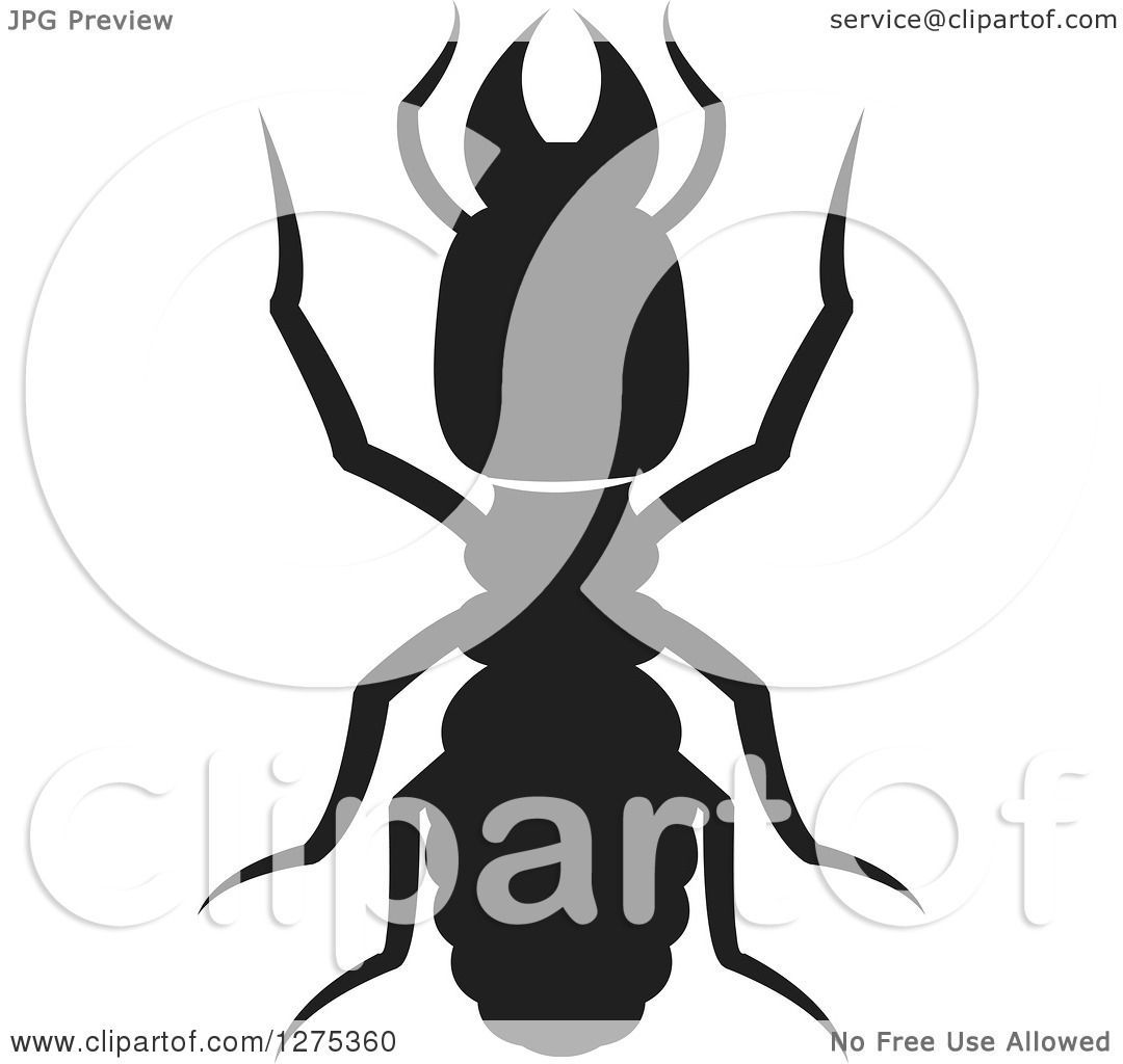 Stylized black and gray ant illustration with prominent mandibles and segmented body, viewed from above.