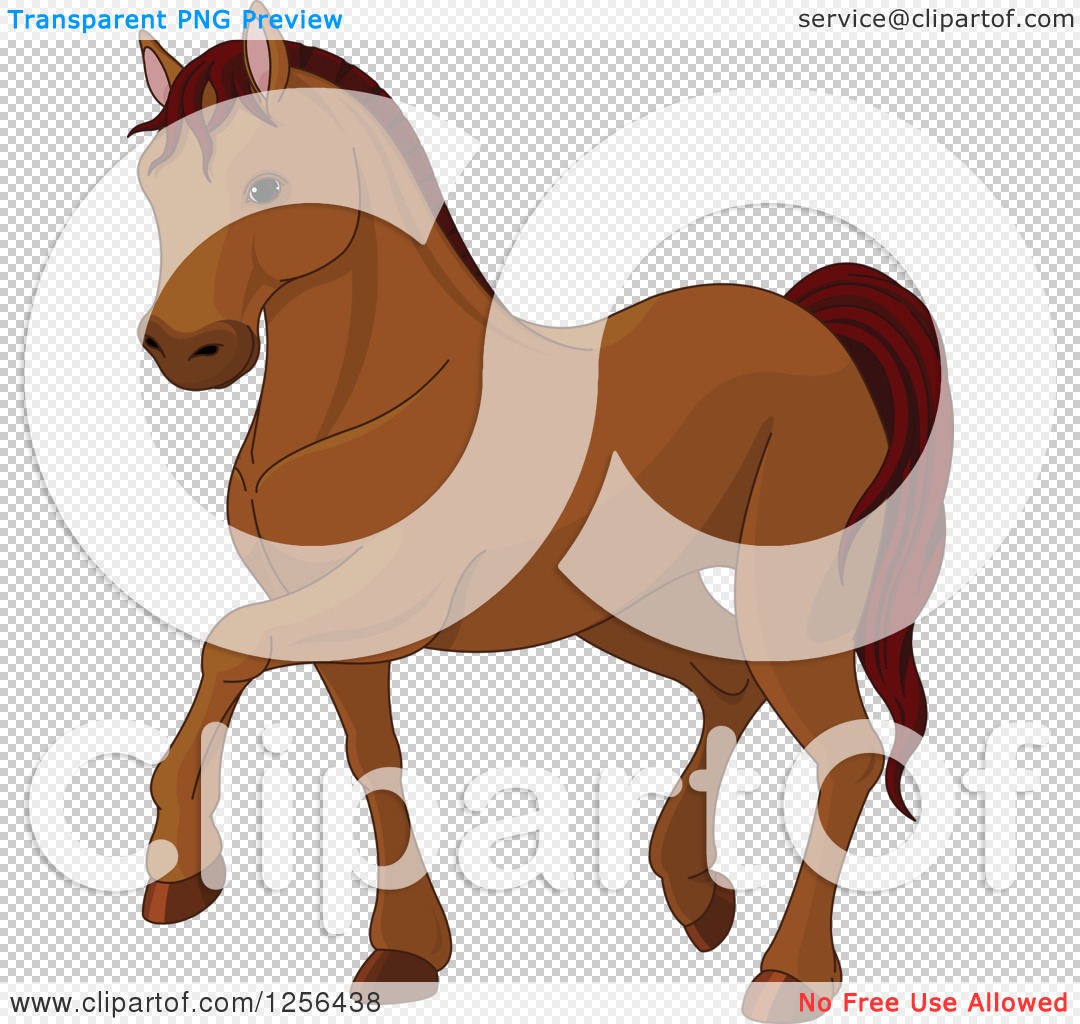 Walking horse Royalty Free Vector Image - VectorStock - Clip Art Library