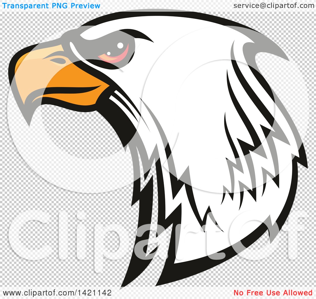 Bold Bald Eagle Head Clipart - High-Quality Transparent PNG