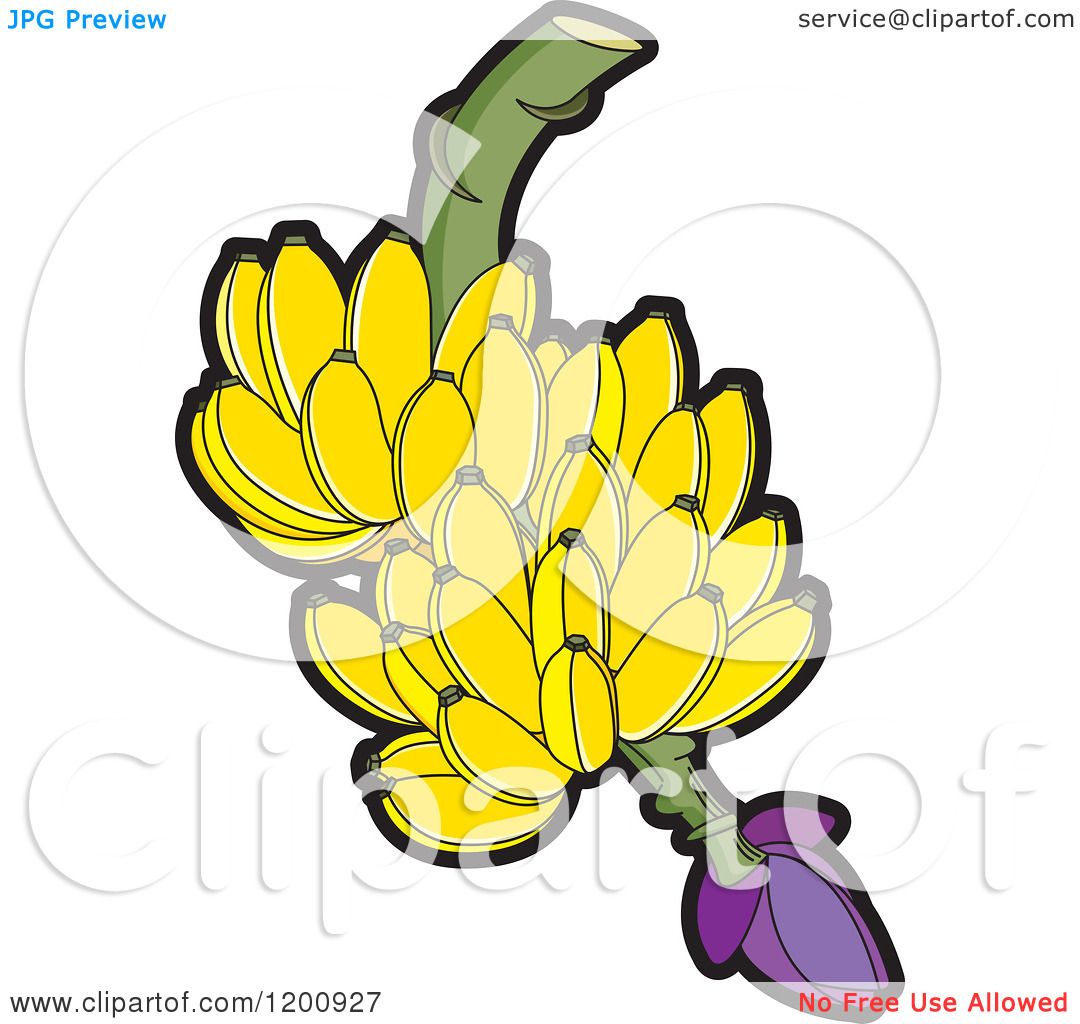 Banana Bunch Clipart - Colorful Illustration for Educational and Design Use