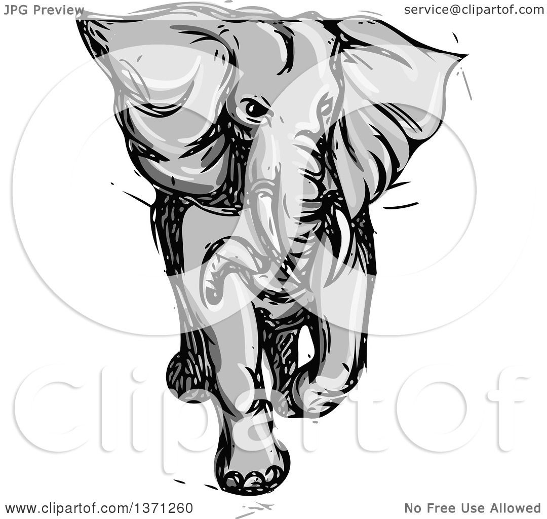 angry elephants - Clip Art Library