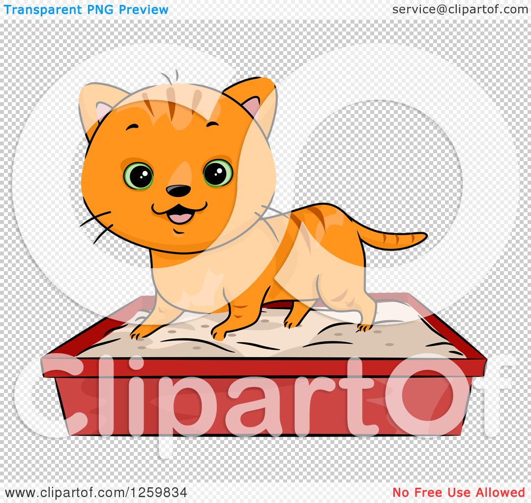 Cheerful orange tabby kitten standing in a red litter box filled with sand, smiling with green eyes.