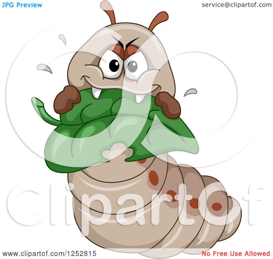 Very Hungry Caterpillar Clip Art