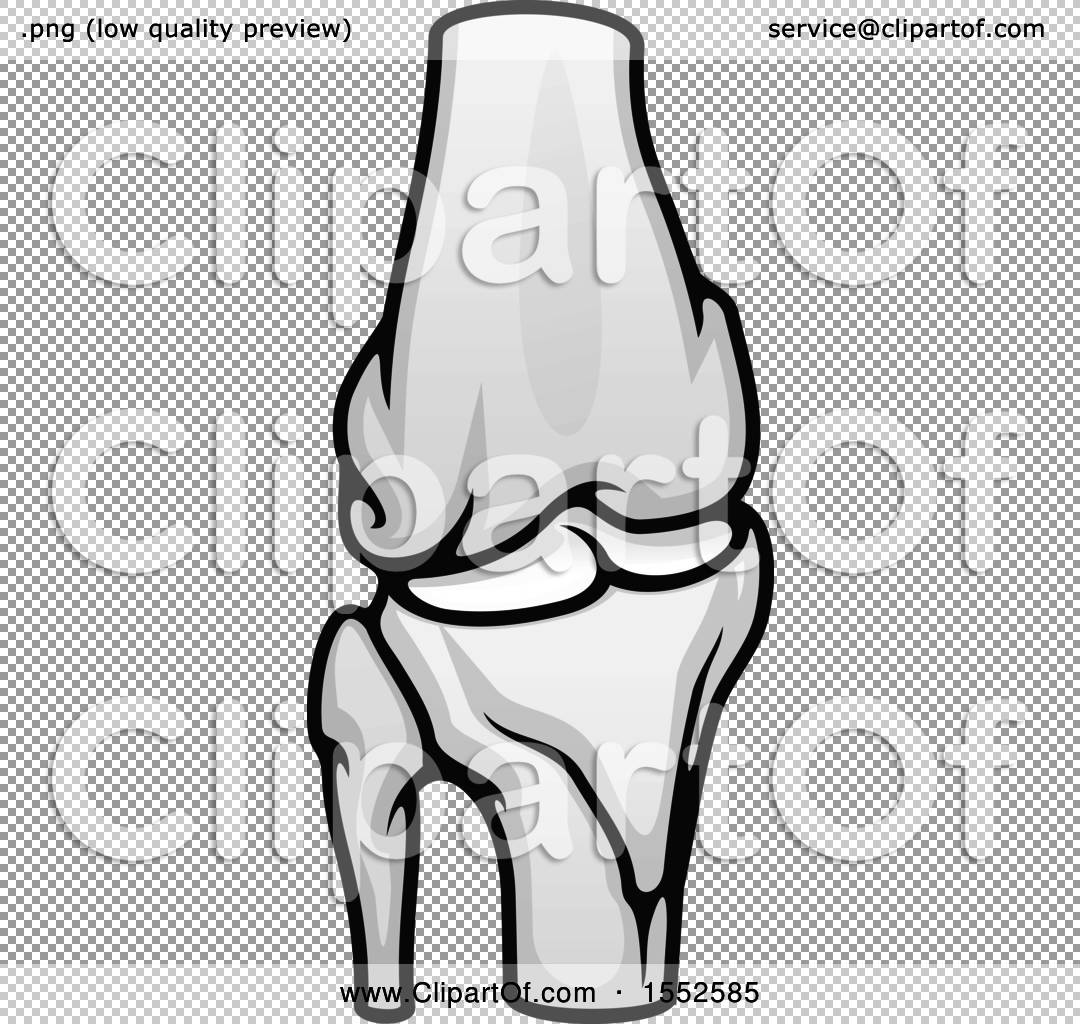 Free Human Knee Cliparts Download Free Human Knee Cliparts Png Clip Art Library