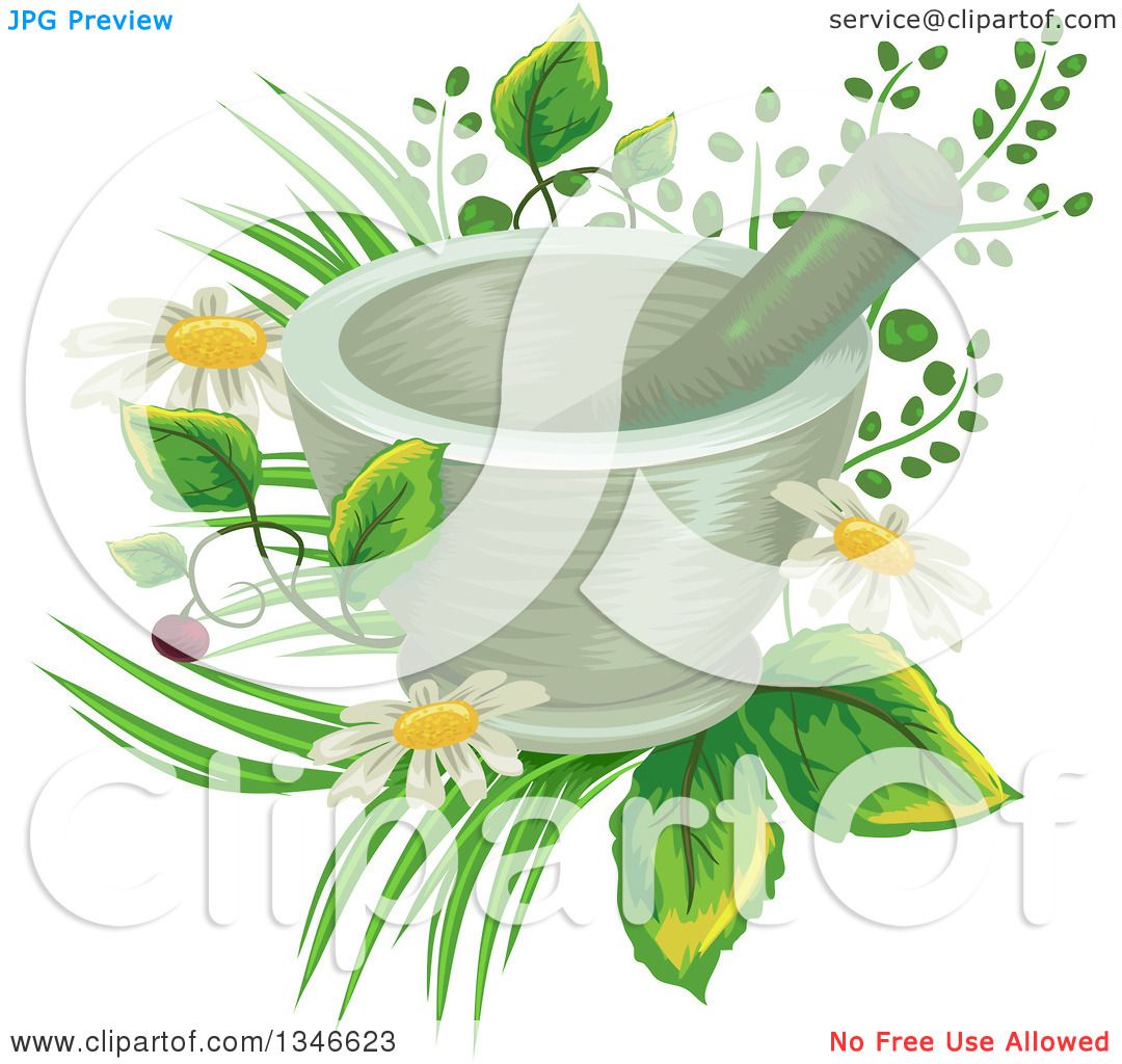 Stone mortar and pestle surrounded by fresh green herbs, daisies, and foliage-symbolizing natural medicine and herbal preparation.