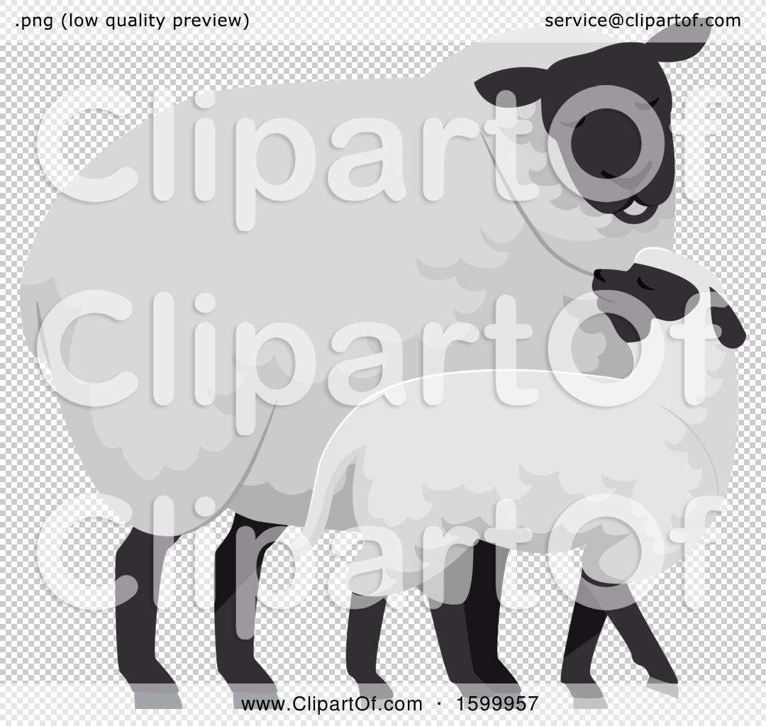 Sheep Clip Art 8 Clipart Library Clip Art Library 