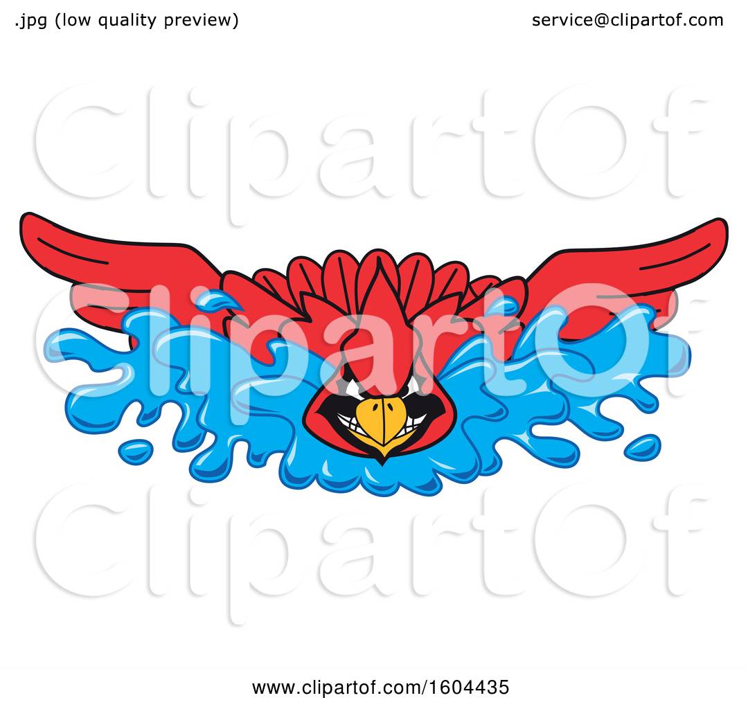 Duck Swimming Clip Art Png X Px Duck Beak Bird Drawing