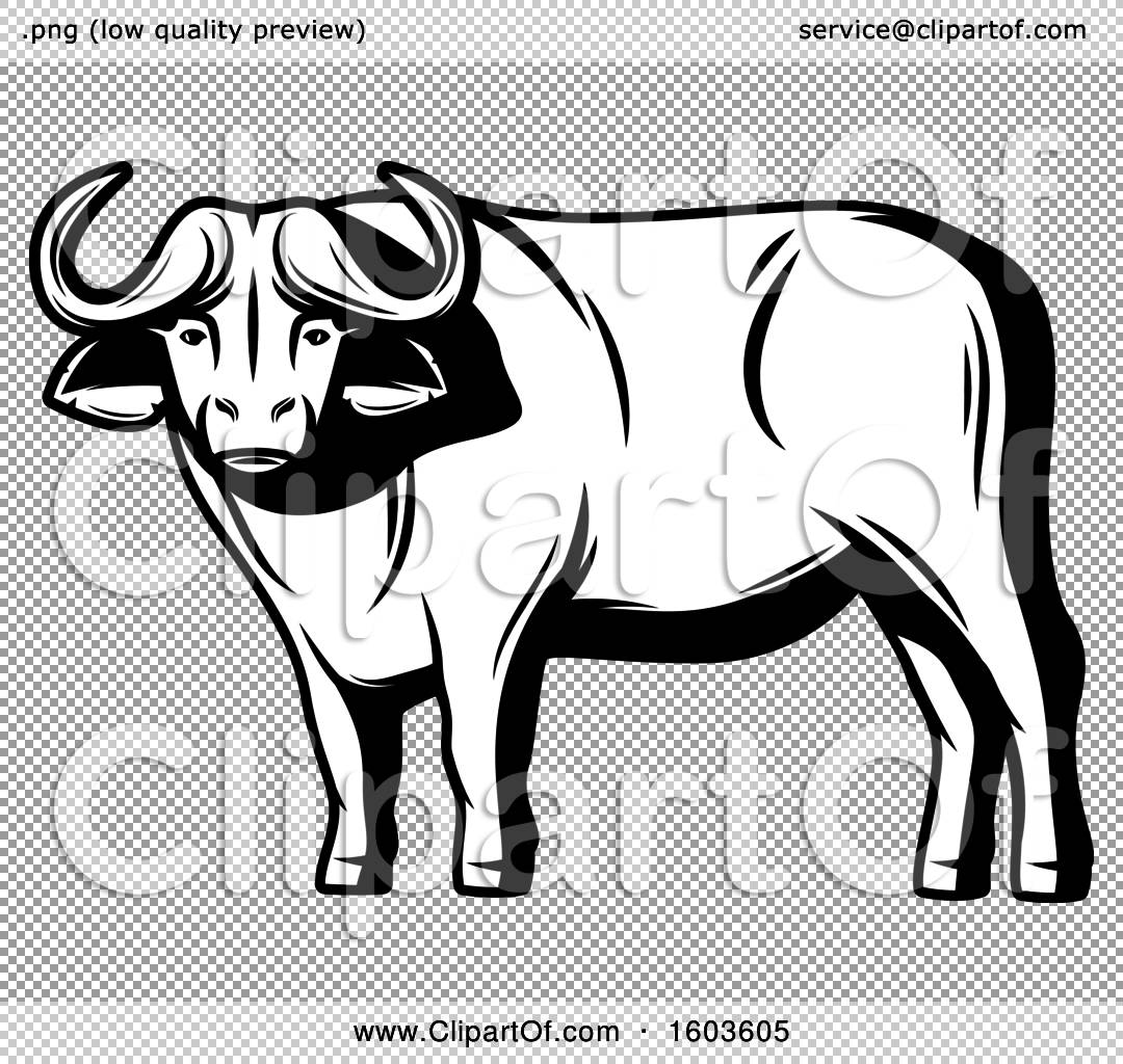 Clip Art Black And White Buffalo Clipart - Coloring Home - Clip Art Library