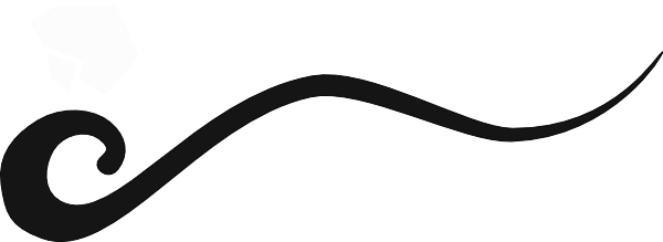 Elegant black decorative flourish or swirl on white background, used as a divider or ornamental element.