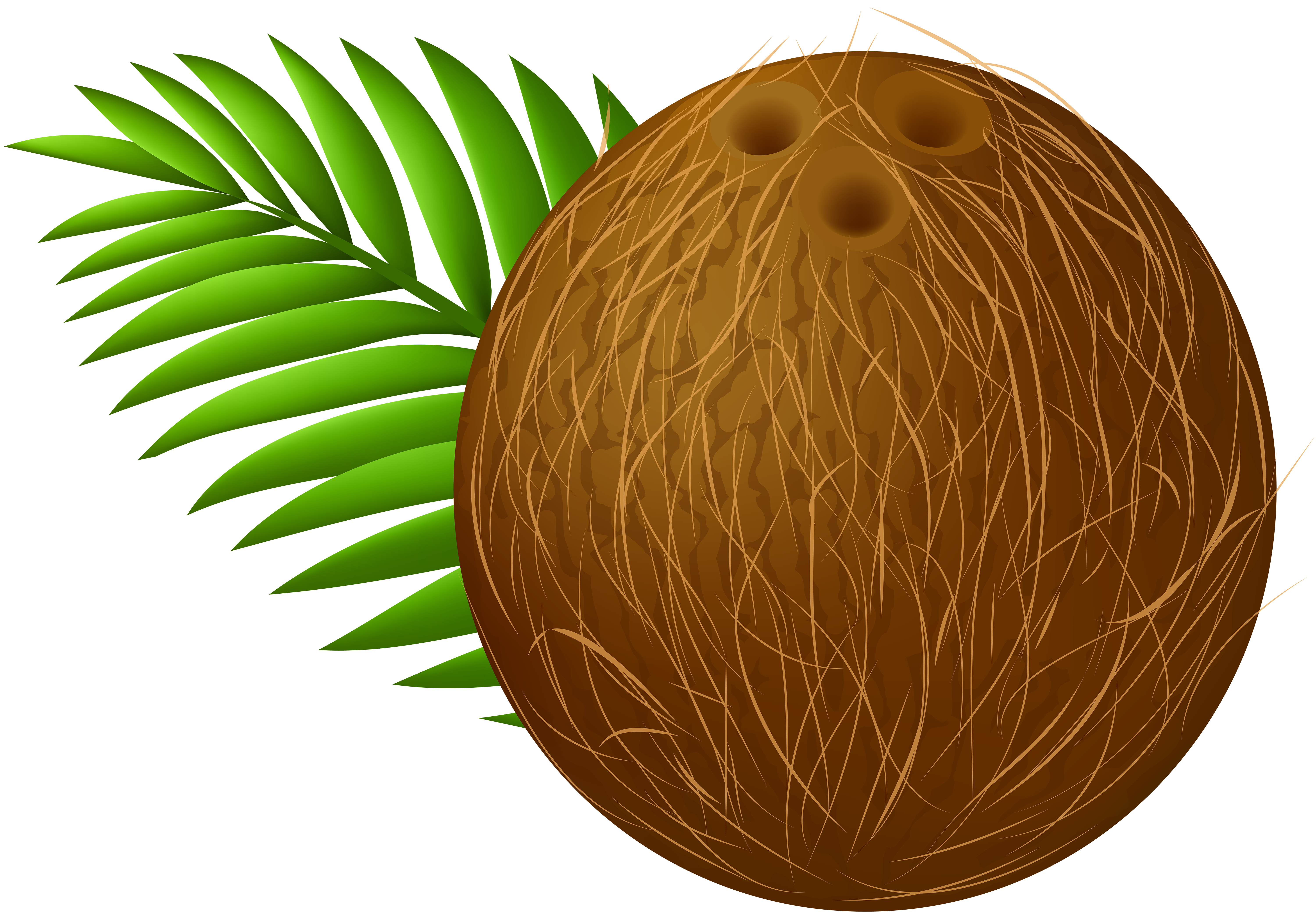 A detailed illustration of a brown coconut with fibrous husk and three eye-like indentations, beside vibrant green palm fronds.