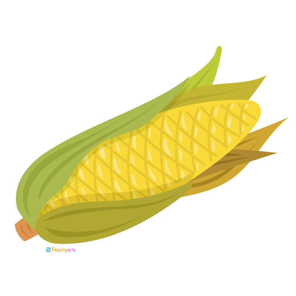 free-corn-download-free-corn-png-images-free-cliparts-on-clipart-library