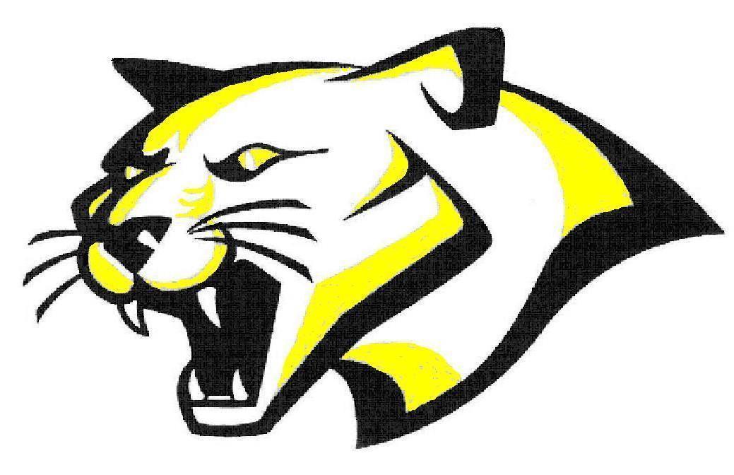 Fierce yellow-and-black panther head logo with open mouth and sharp teeth, stylized for sports team branding.