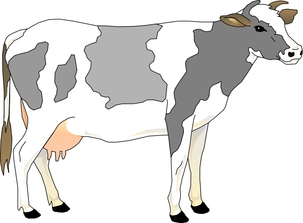 Dairy Cow Illustration - Free Clipart for Agricultural and Educational Use