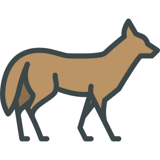 Coyote Illustration - Free Vector Graphic for Wildlife & Education