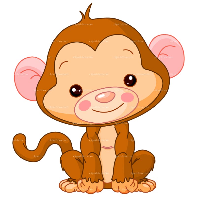 Safari Clipart Monkey - Macaco Safari Desenho - (2203x2402) Png