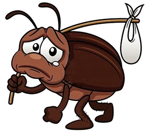 Free dead bugs, Download Free dead bugs png images, Free ClipArts on ...