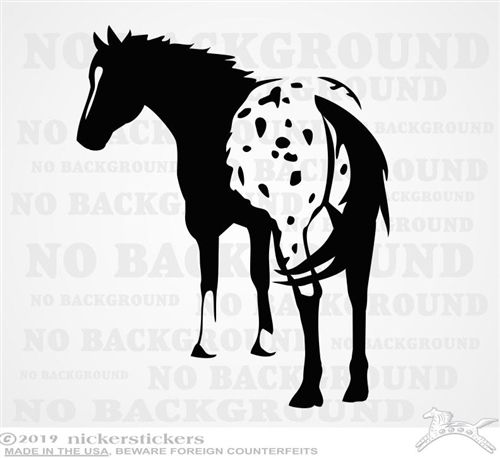 Appaloosa Horse Silhouette Decal - Premium Vinyl Sticker for Vehicles & Gear