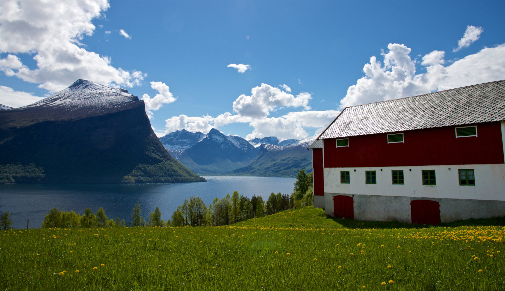 Red and white barn on a grassy hill with yellow flowers, overlooking a fjord and snow-capped mountains under a blue sky.