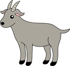 Gray cartoon goat with curved horns, pink inner ears, and black hooves standing sideways.