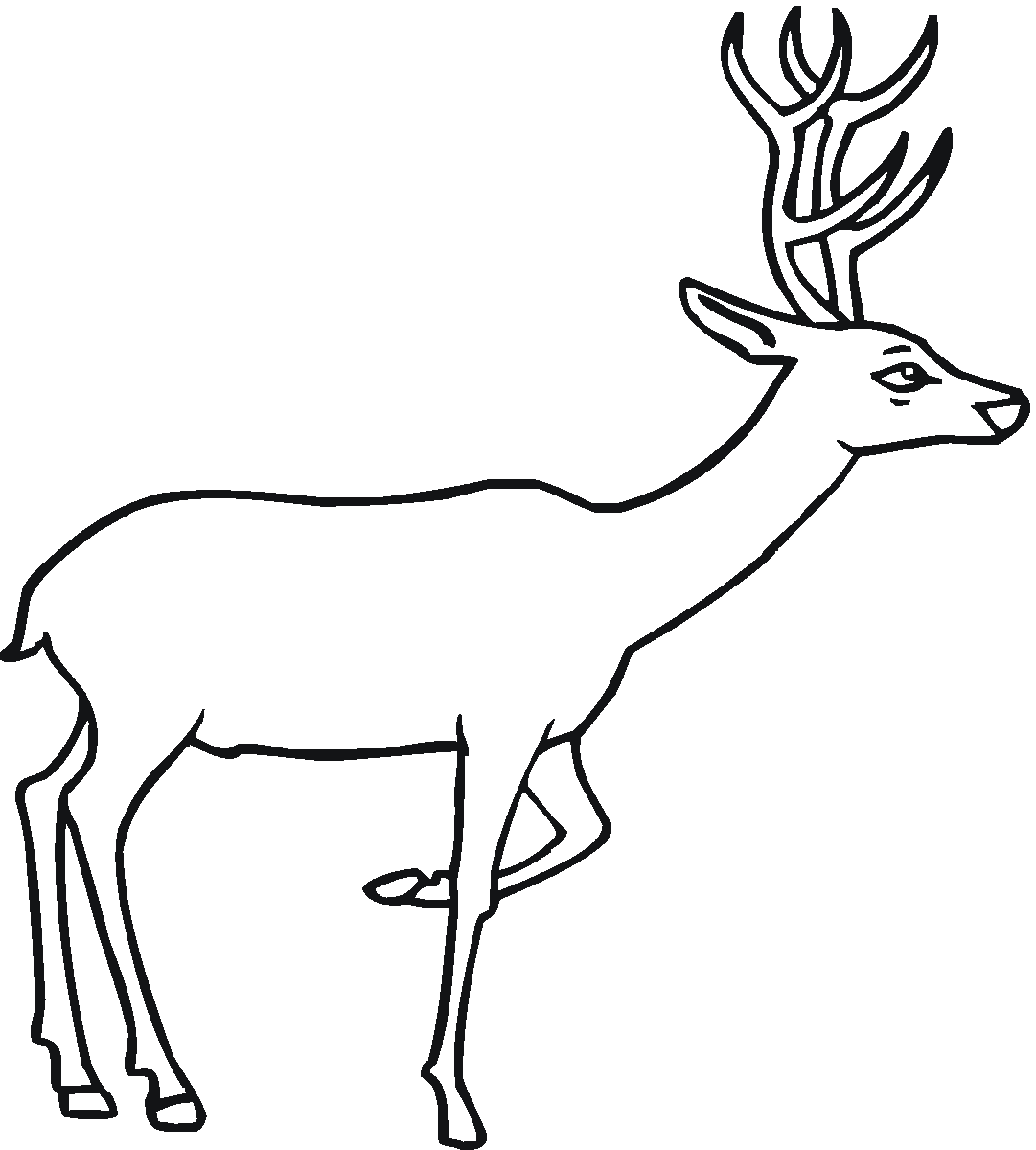 Line drawing of a stag with large antlers standing in profile view.
