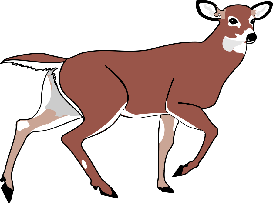Stylized illustration of a white-tailed deer in motion, brown body with white underbelly and tail, black background.