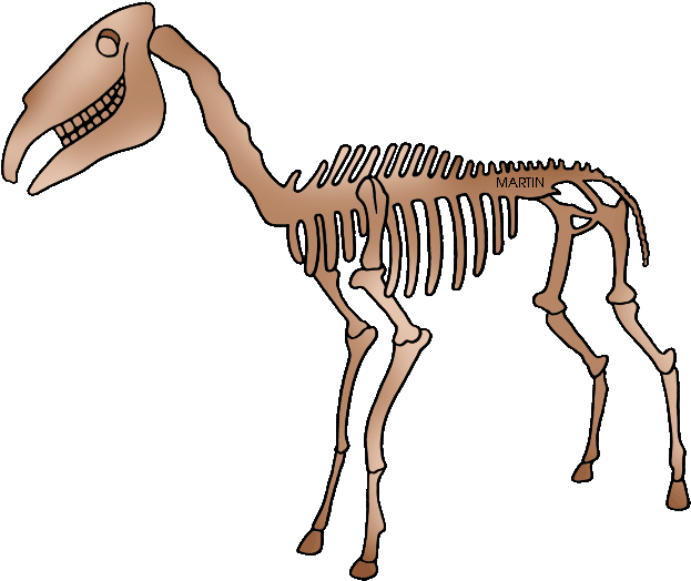 dinosaur bones - Clip Art Library
