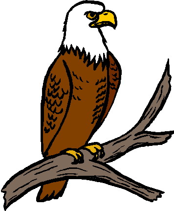 Cute Eagle Clip Art Free PNG Image｜Illustoon - Clip Art Library