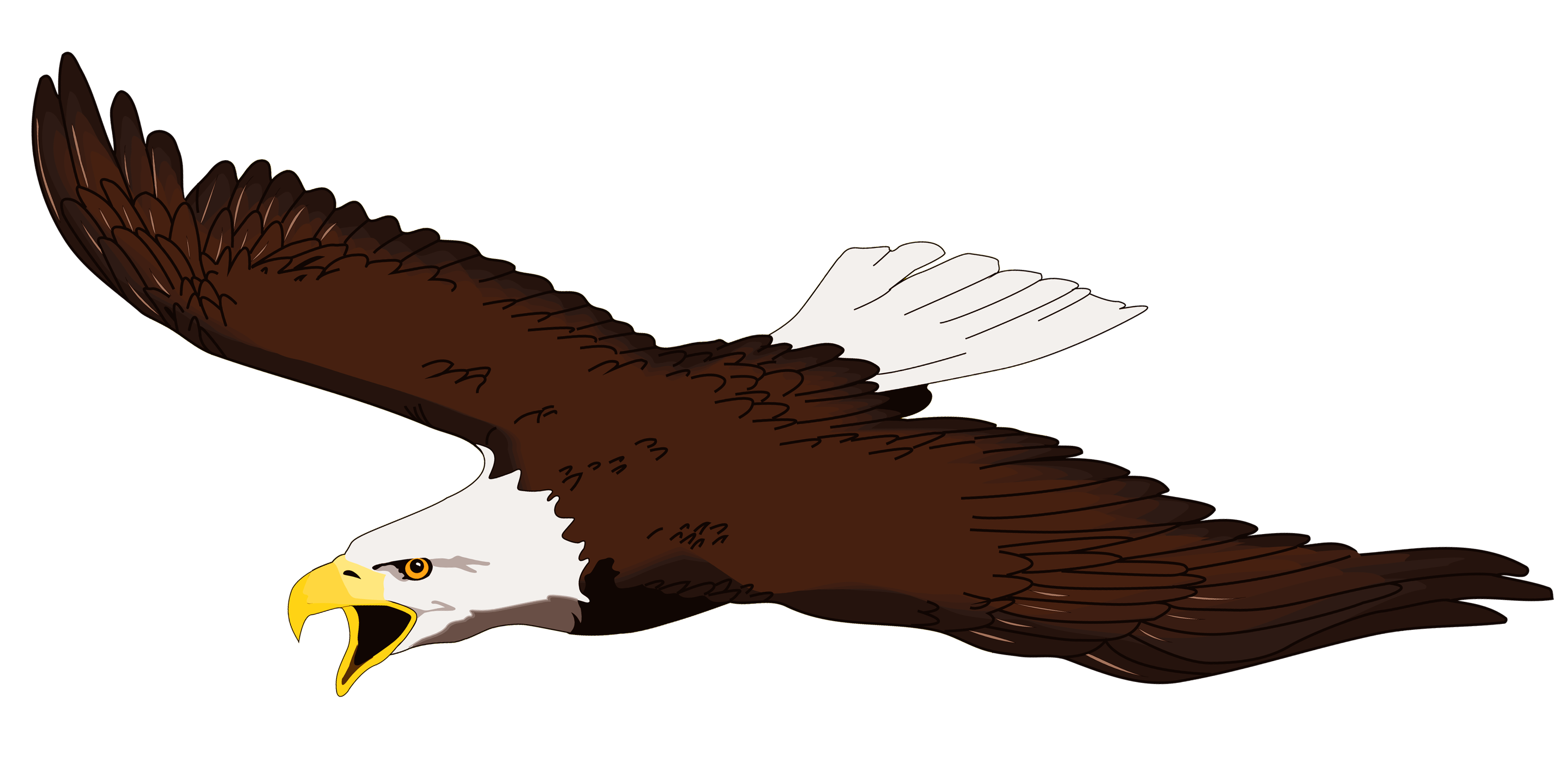A soaring bald eagle with white head, brown body, and outstretched wings, beak open in a cry.