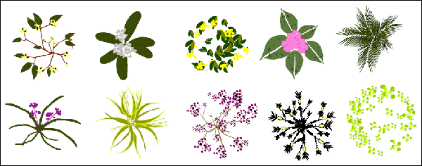 Ten illustrated plant species including flowering shrubs, succulents, ferns, and ornamental foliage arranged in a 2x5 grid.