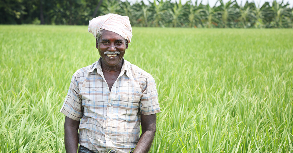 indian farmer - Clip Art Library