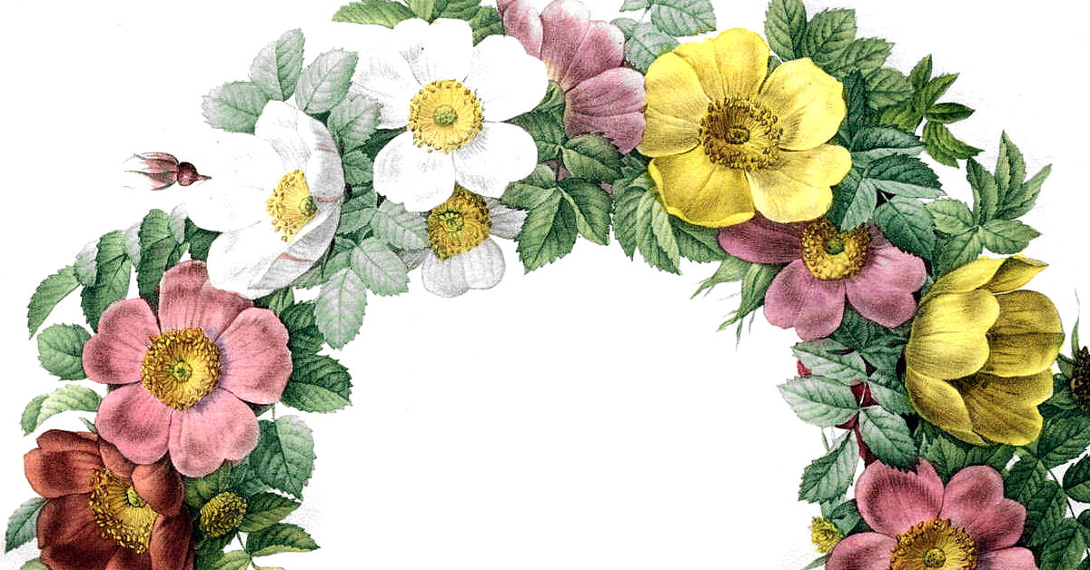Vintage floral wreath with pink, white, yellow, and red roses surrounded by green leaves in botanical illustration style.