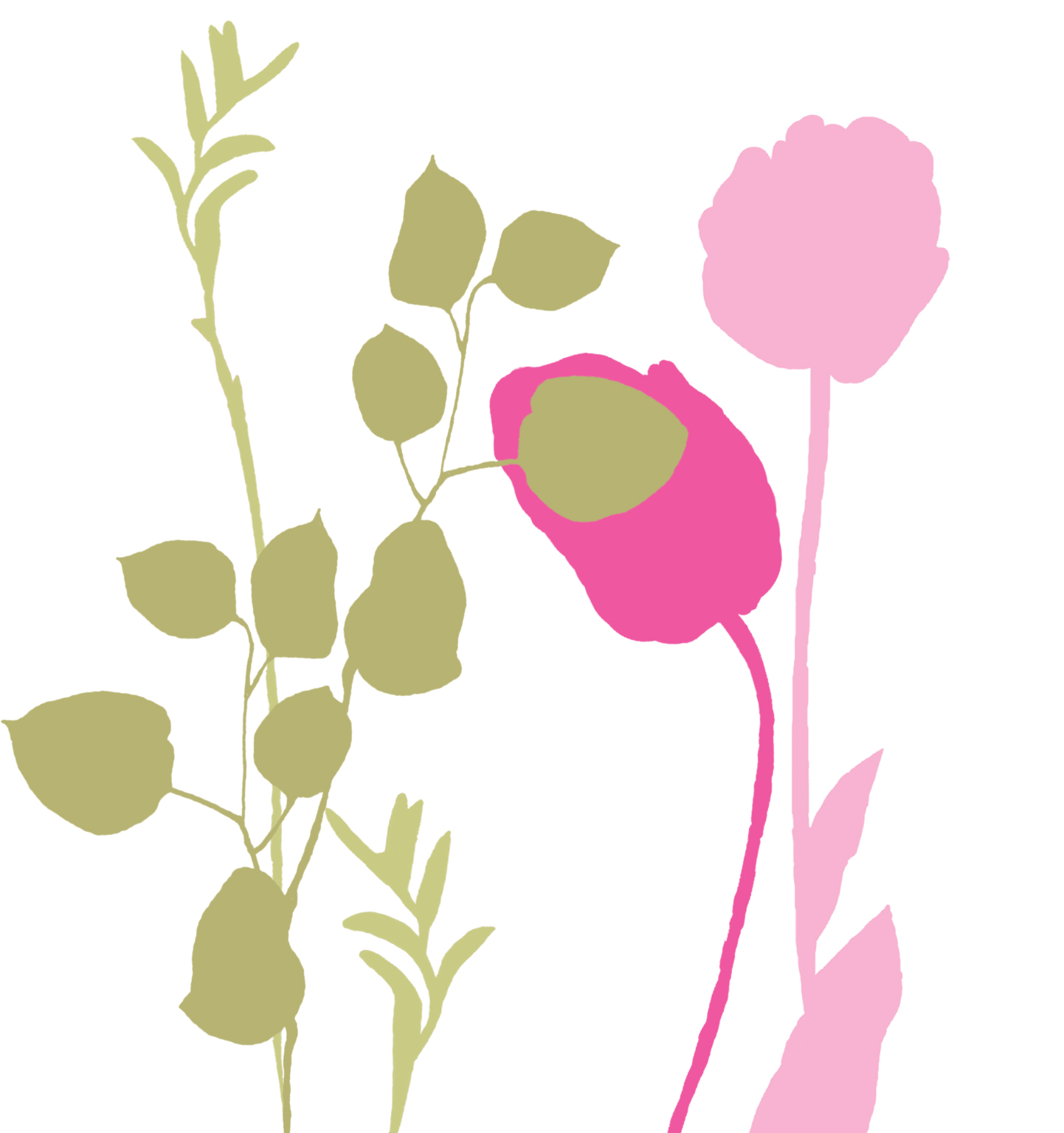 Stylized floral illustration with pink poppy blooms and olive-green foliage on white background.