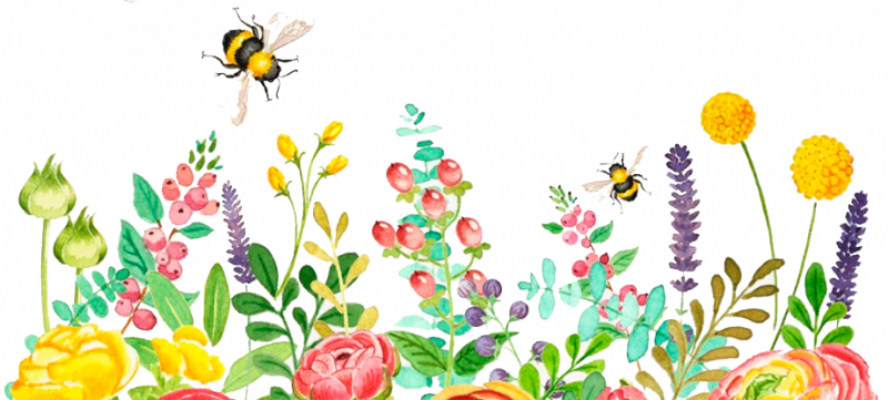 Summer Garden Party Clip Art Set - Edu Clips - Clip Art Library