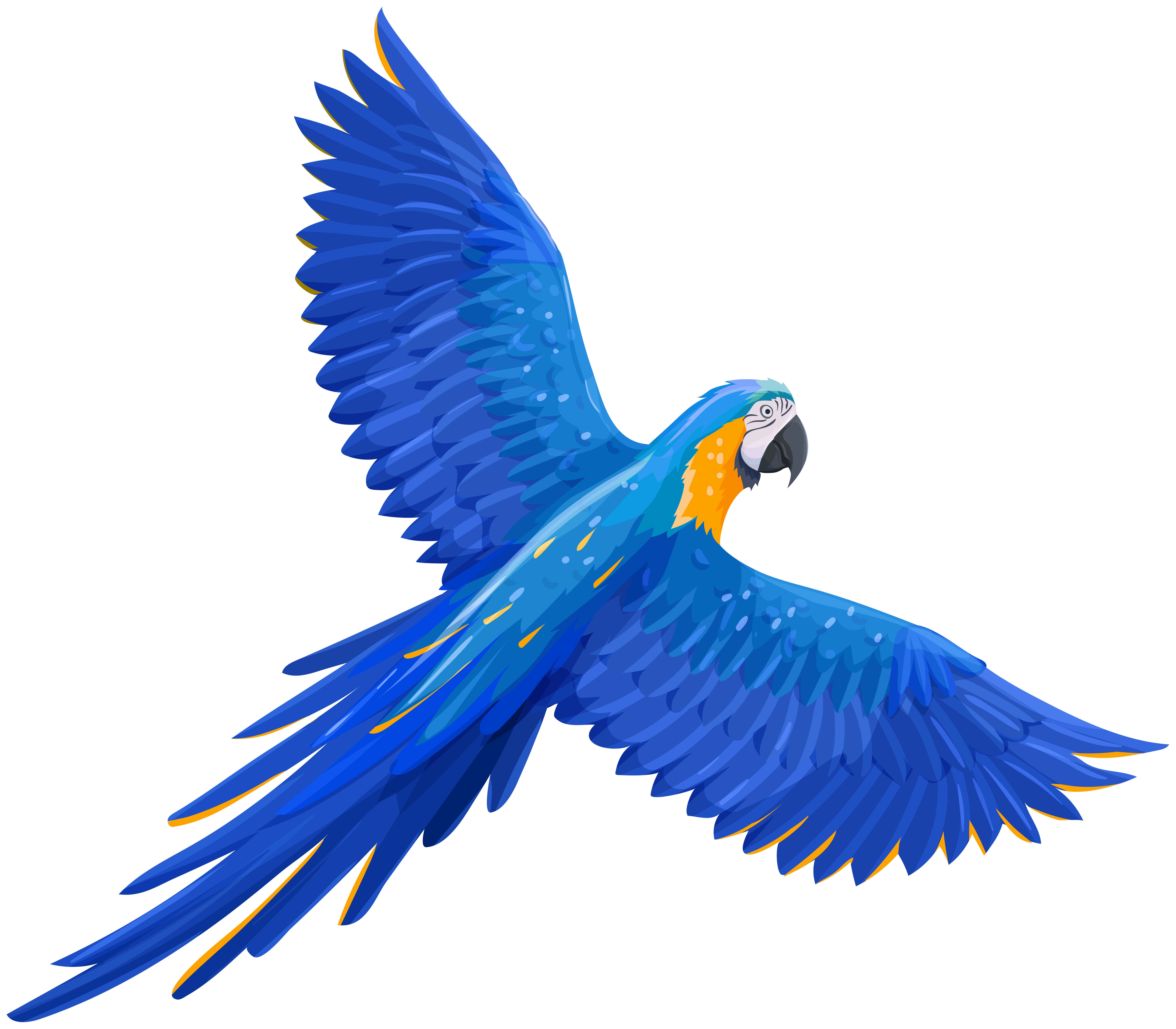 Vibrant blue-and-yellow macaw in flight with outstretched wings and detailed feather patterns.