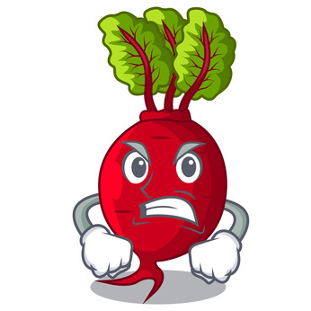 Angry cartoon beetroot character with green leafy top, clenched fists, and fierce expression.