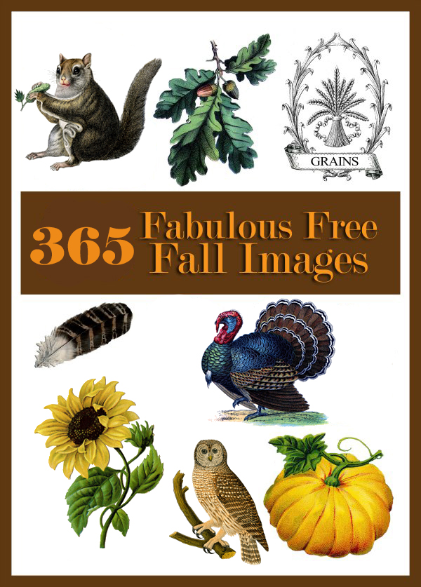 Vintage-style fall-themed illustrations including squirrel, oak leaves, grains emblem, turkey, sunflower, owl, pumpkin, and feather.