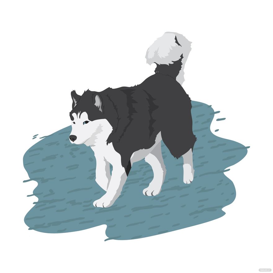 Siberian Husky in Puddle - Playful Canine Illustration
